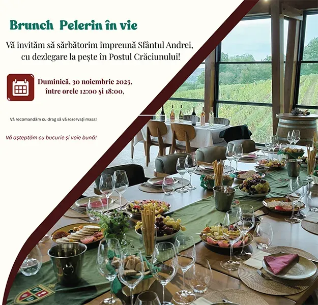 Via Domnului Pelerin în vie brunch degustare vinuri