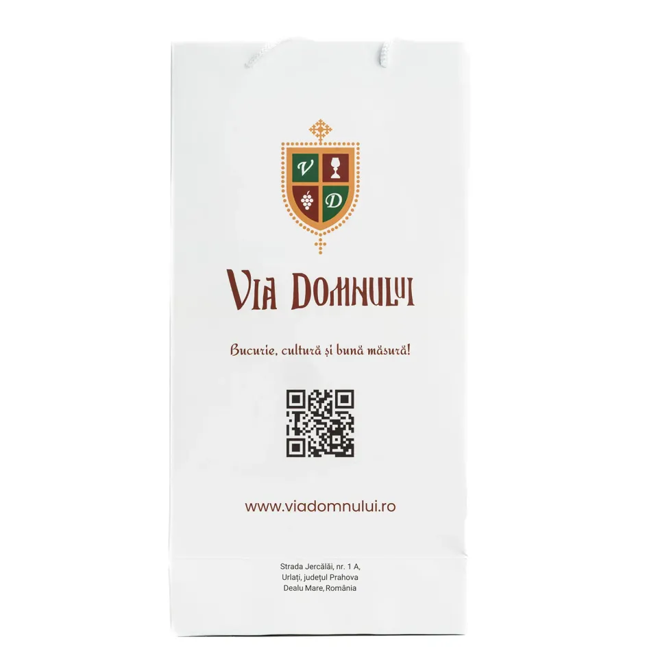 Via Domnului pungă hârtie 2 sticle 36x18x9 cm cadou